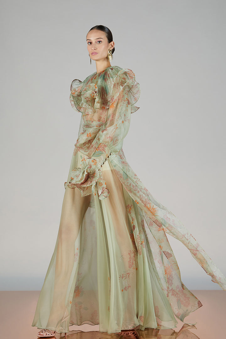 Lantern-Sleeve Printed A-line Dress