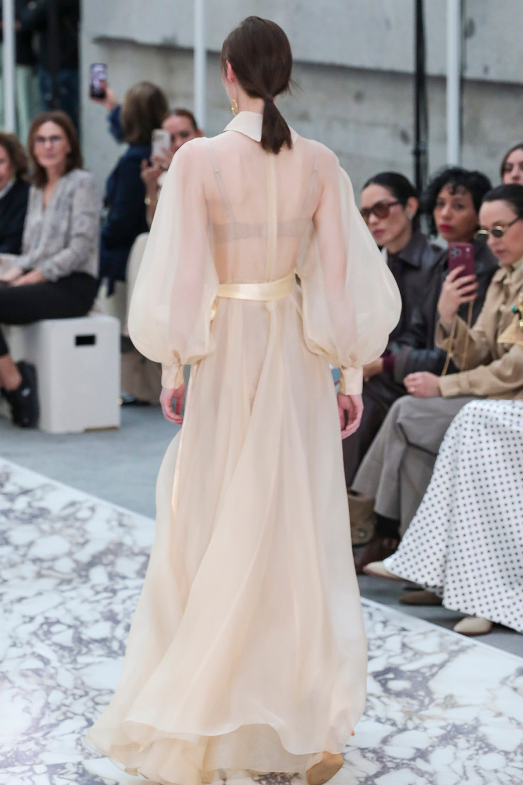 Embellished Organza Dress with Bishop Sleeves