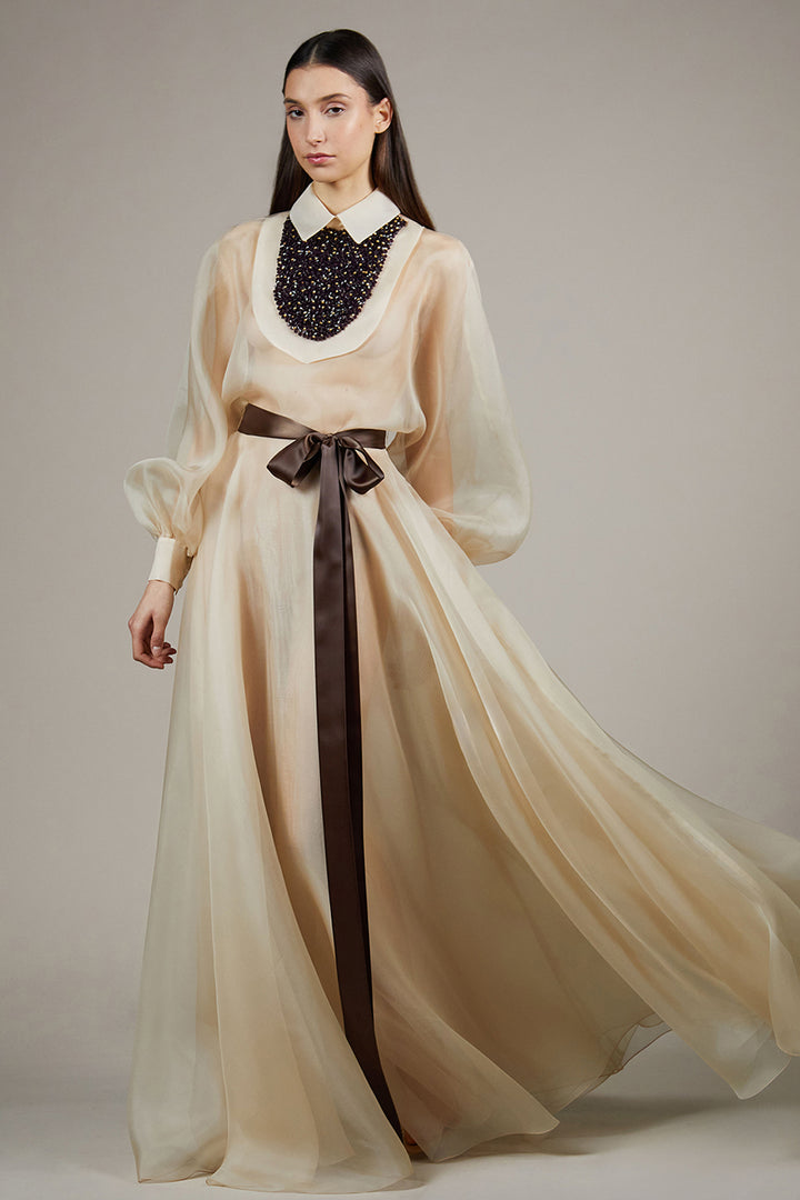 Embellished Organza Dress with Bishop Sleeves