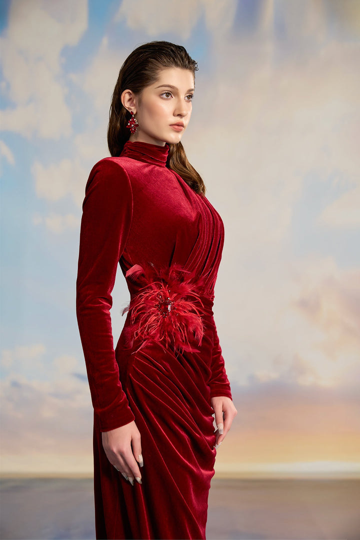 Red Velvet Turtleneck Dress