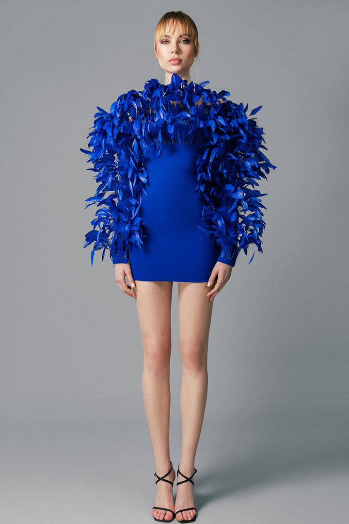 Crepe Short Dress with Feathers
