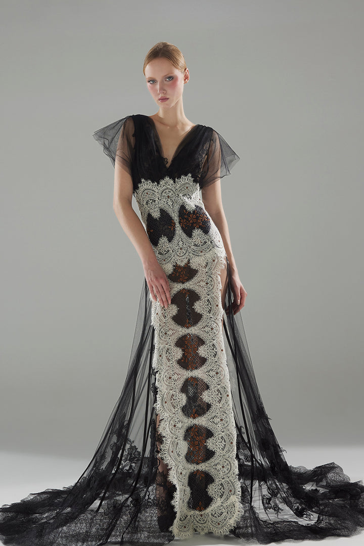 Lace and Tulle Dress with V-Neckline and Sheer Overlay