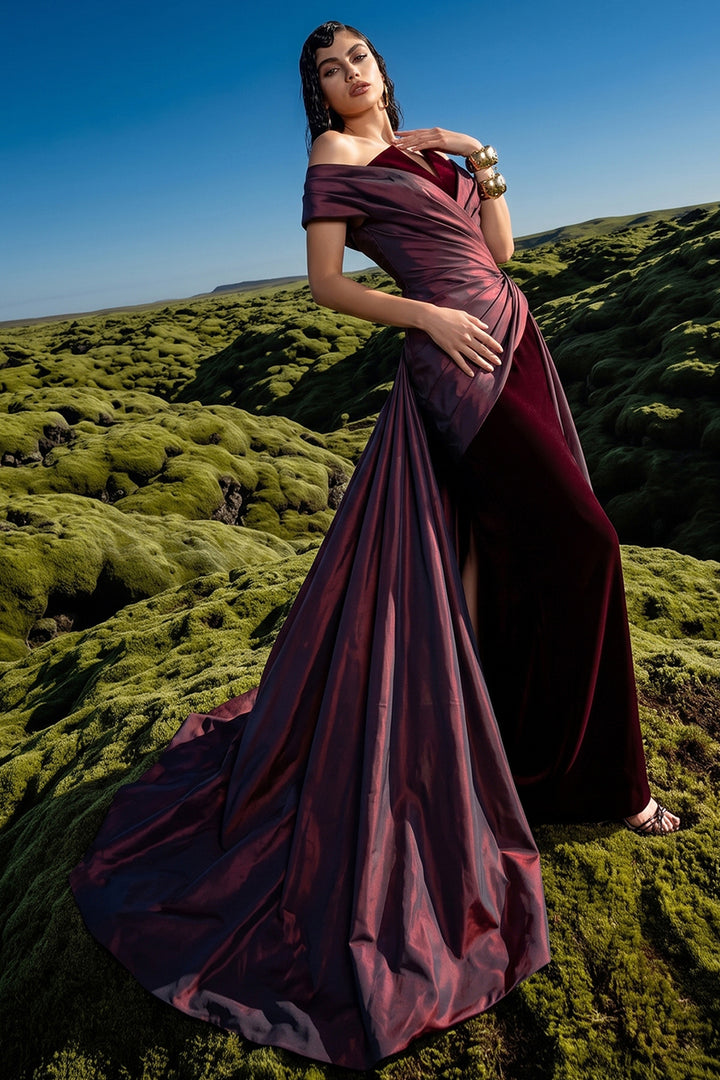 Off-The-Shoulder Draped with Velvet Dress