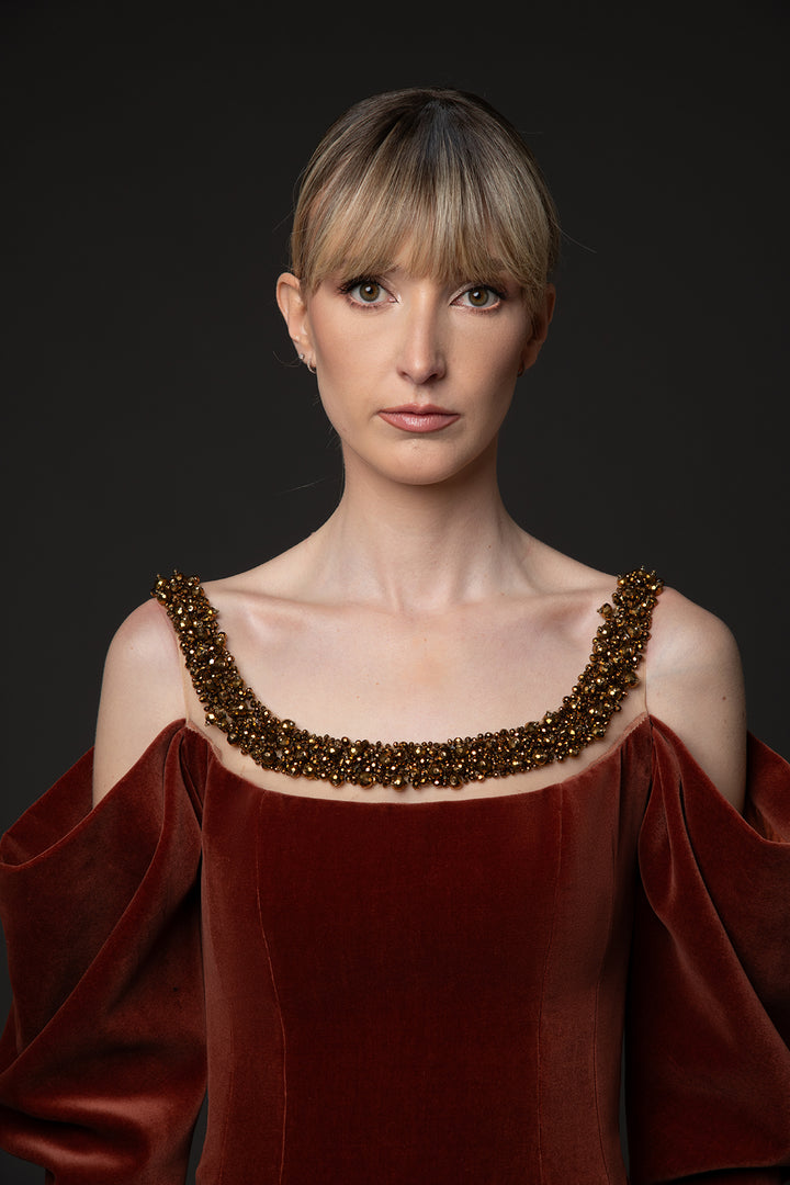 Velvet Embroidered Dress