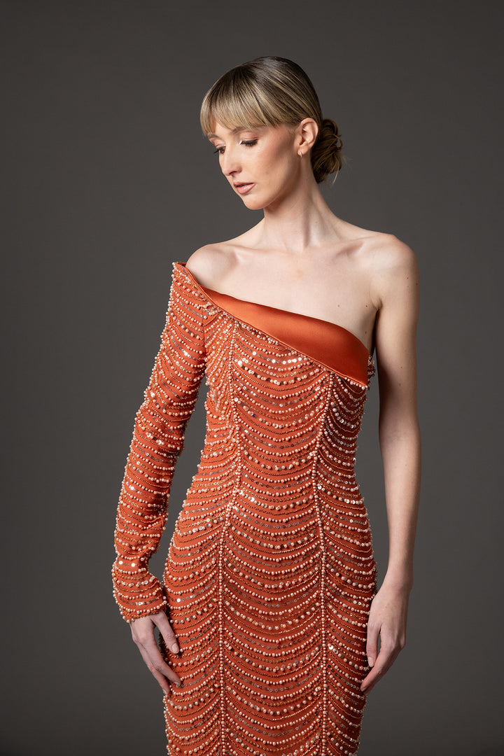 Embroidered Crepe Dress