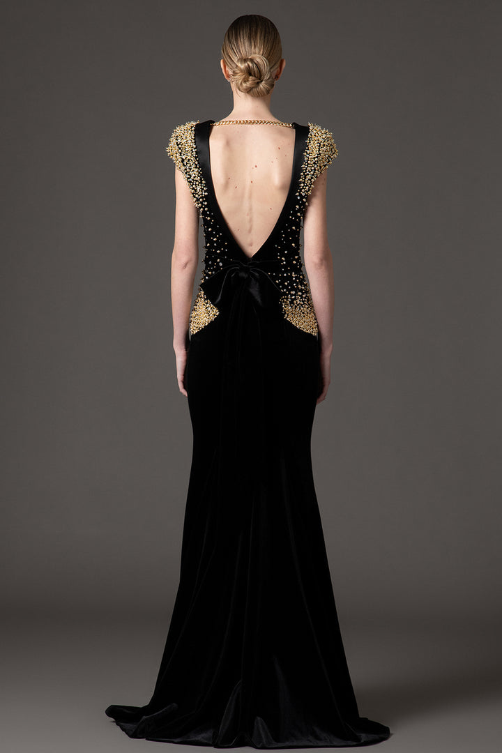 Velvet Radzimir Dress with Embroidery
