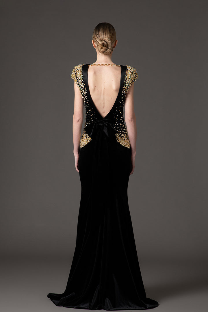 Velvet Radzimir Dress with Embroidery