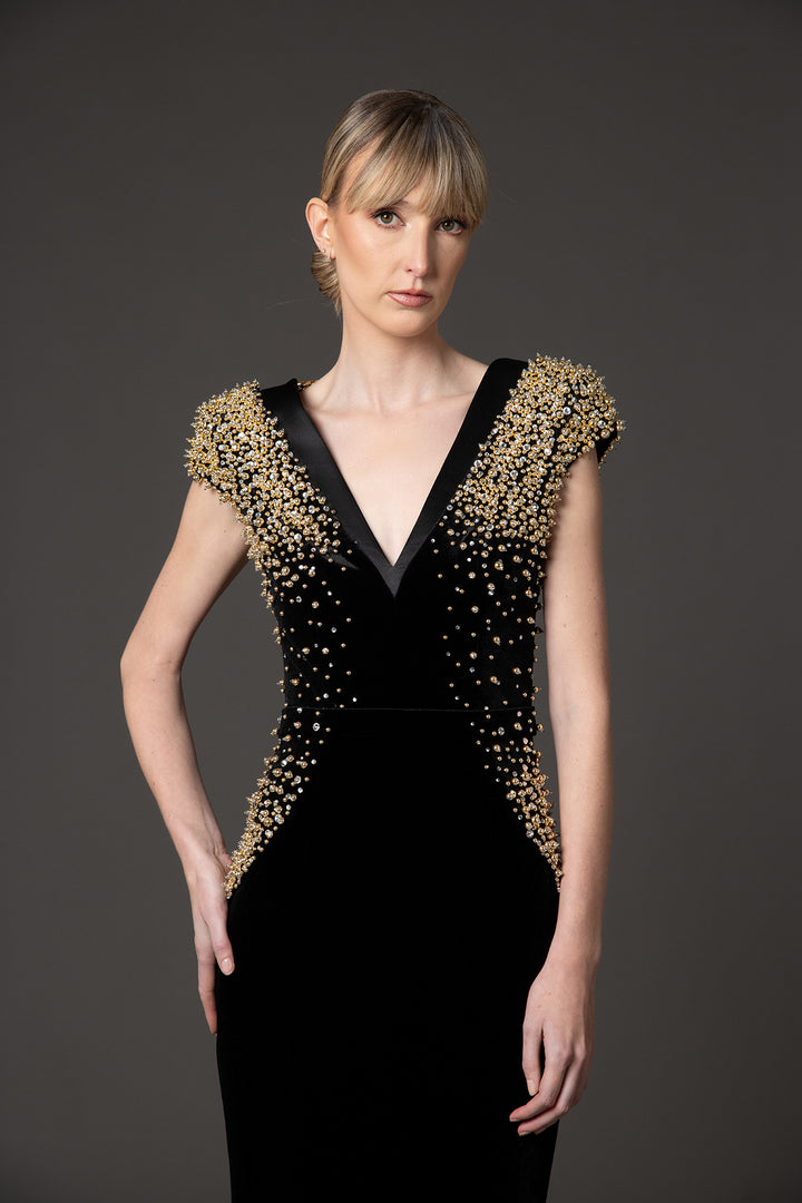 Velvet Radzimir Dress with Embroidery