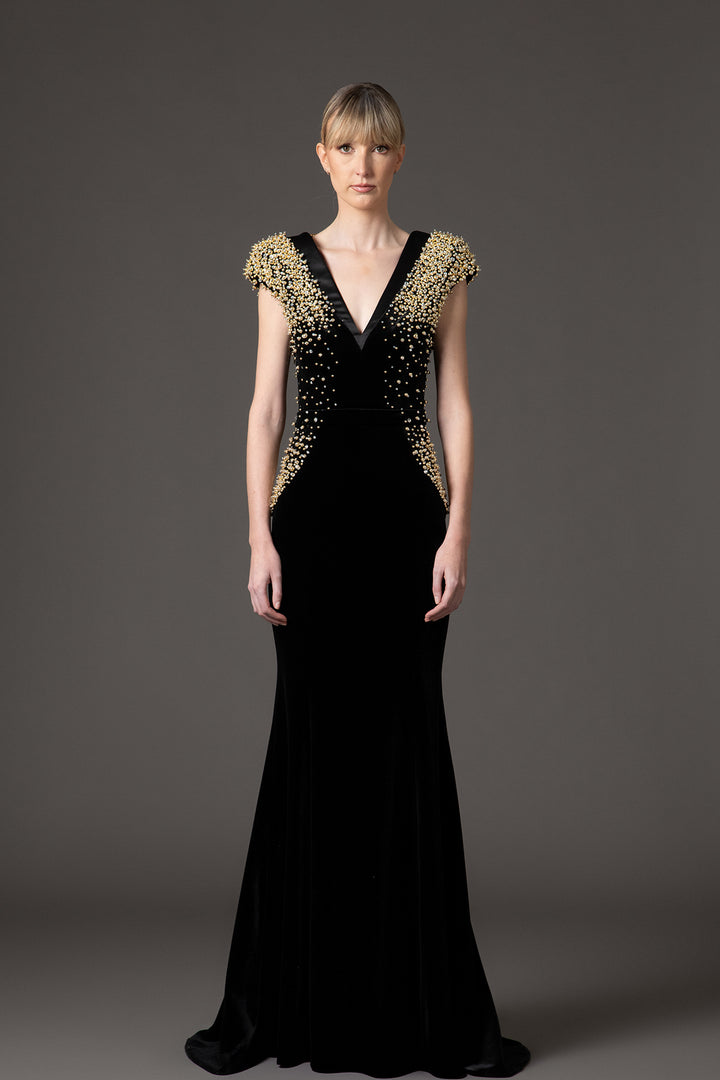 Velvet Radzimir Dress with Embroidery