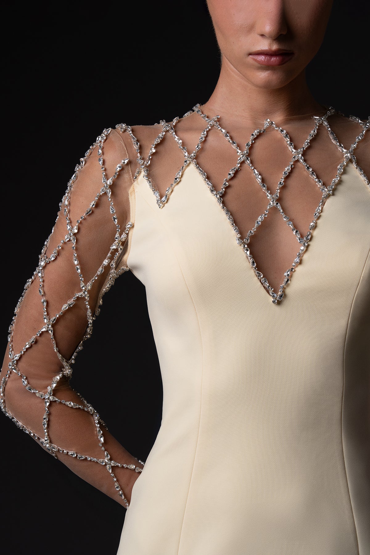 crystal embroidered grid cocktail dress Embroidered Ombre Crystal Gown AREA