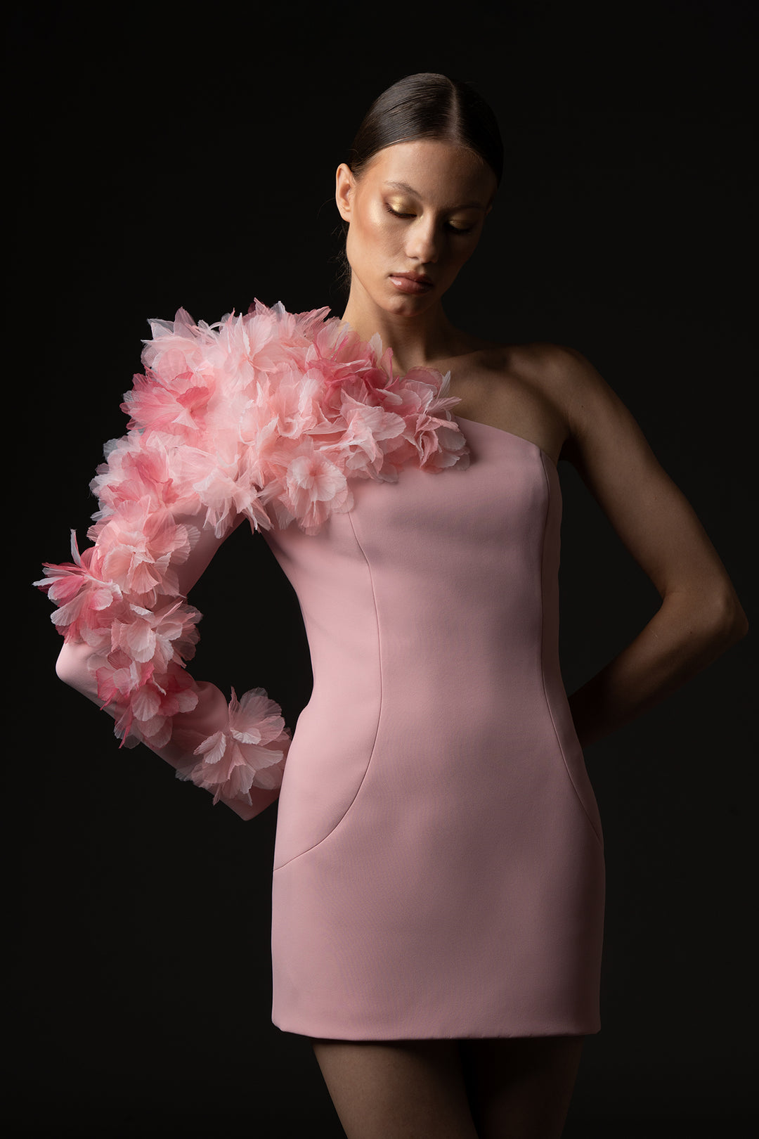 Mini Dress with Floral Appliqué Sleeve