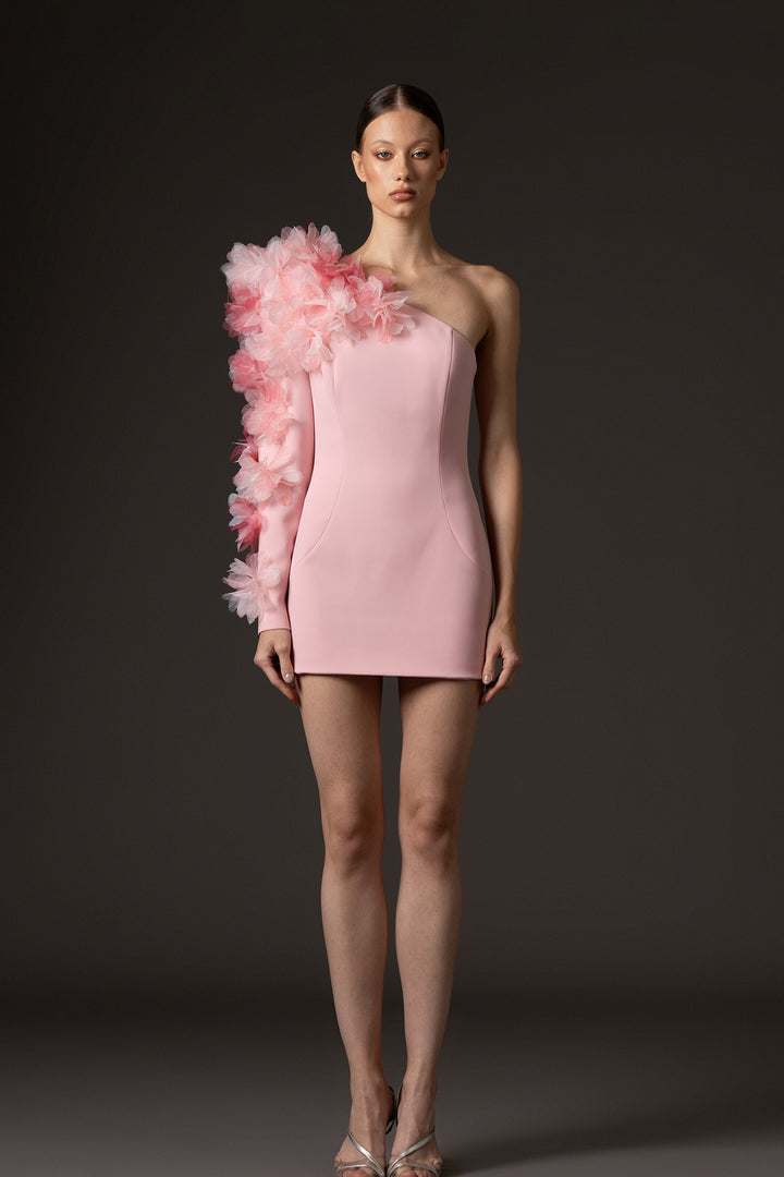 Mini Dress with Floral Appliqué Sleeve