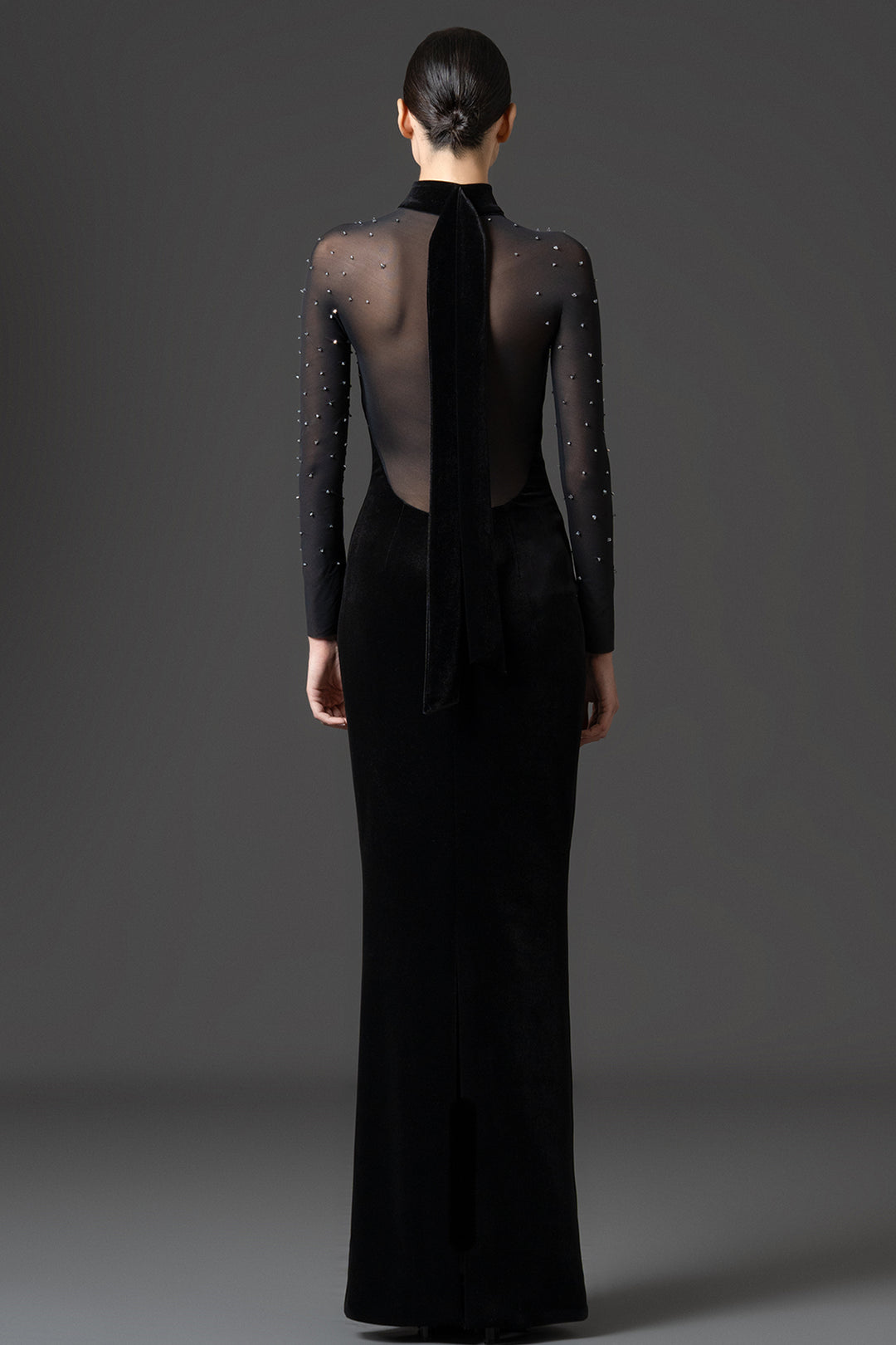 Crystal-Embroidered Velvet with Tulle Fitted Dress