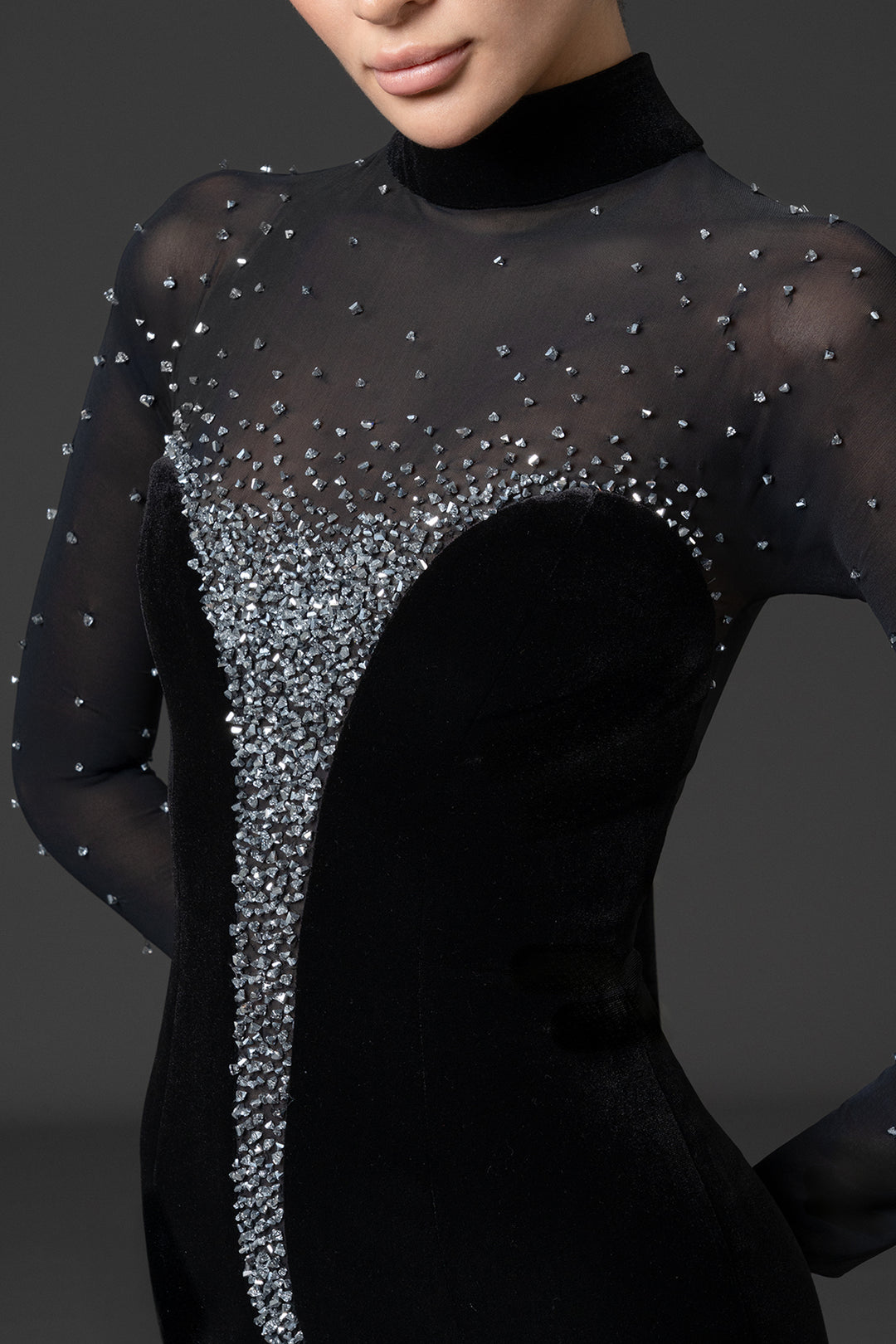 Crystal-Embroidered Velvet with Tulle Fitted Dress