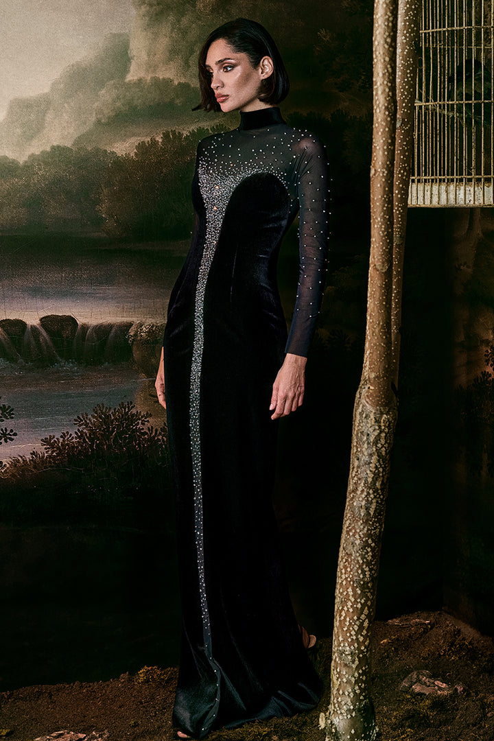 Crystal-Embroidered Velvet with Tulle Fitted Dress