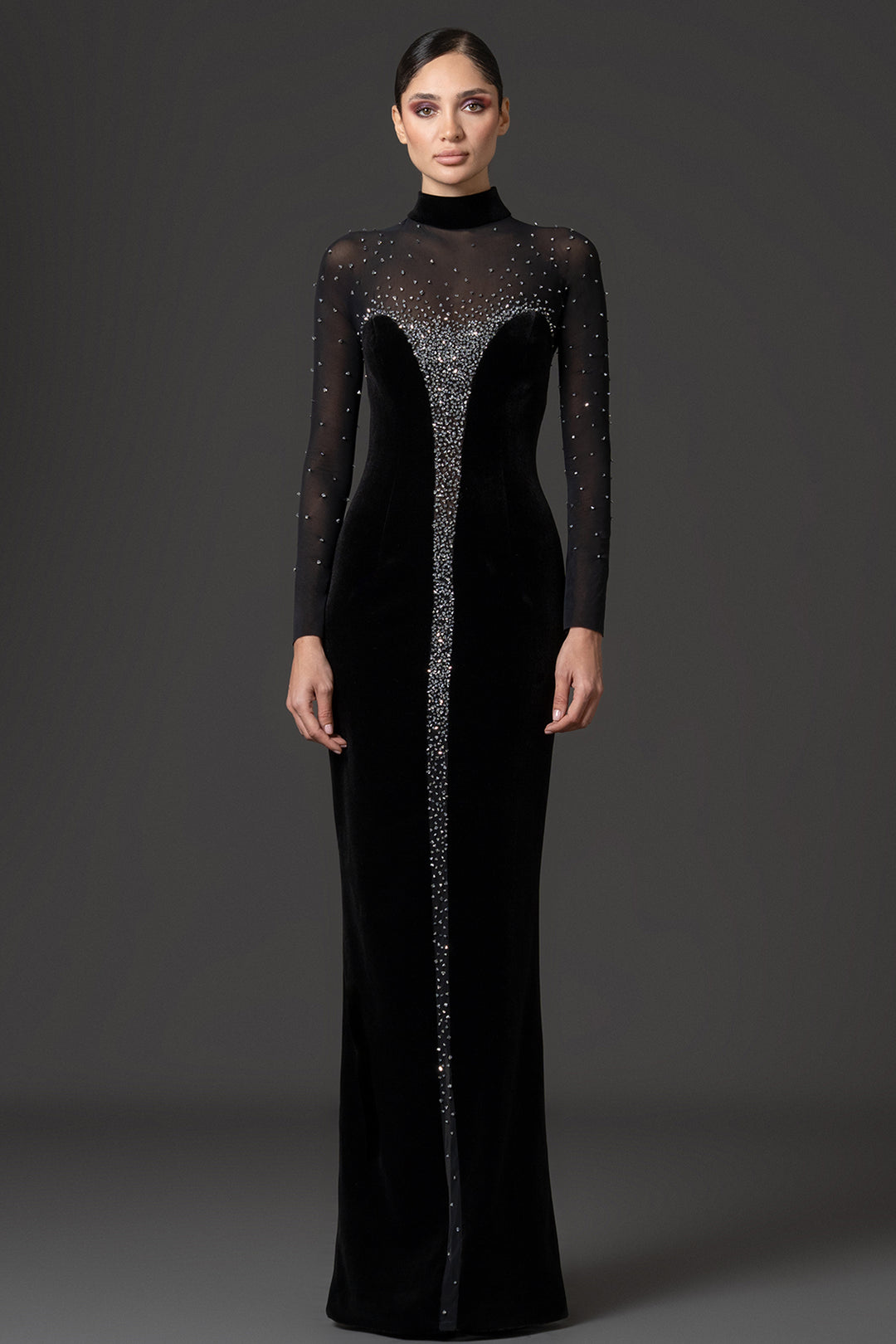 Crystal-Embroidered Velvet with Tulle Fitted Dress