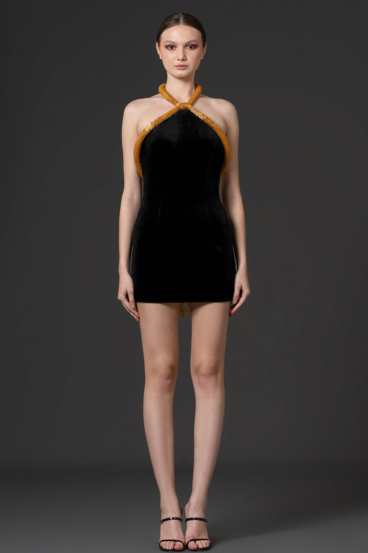 Embroidered Fringe Velvet Mini Dress