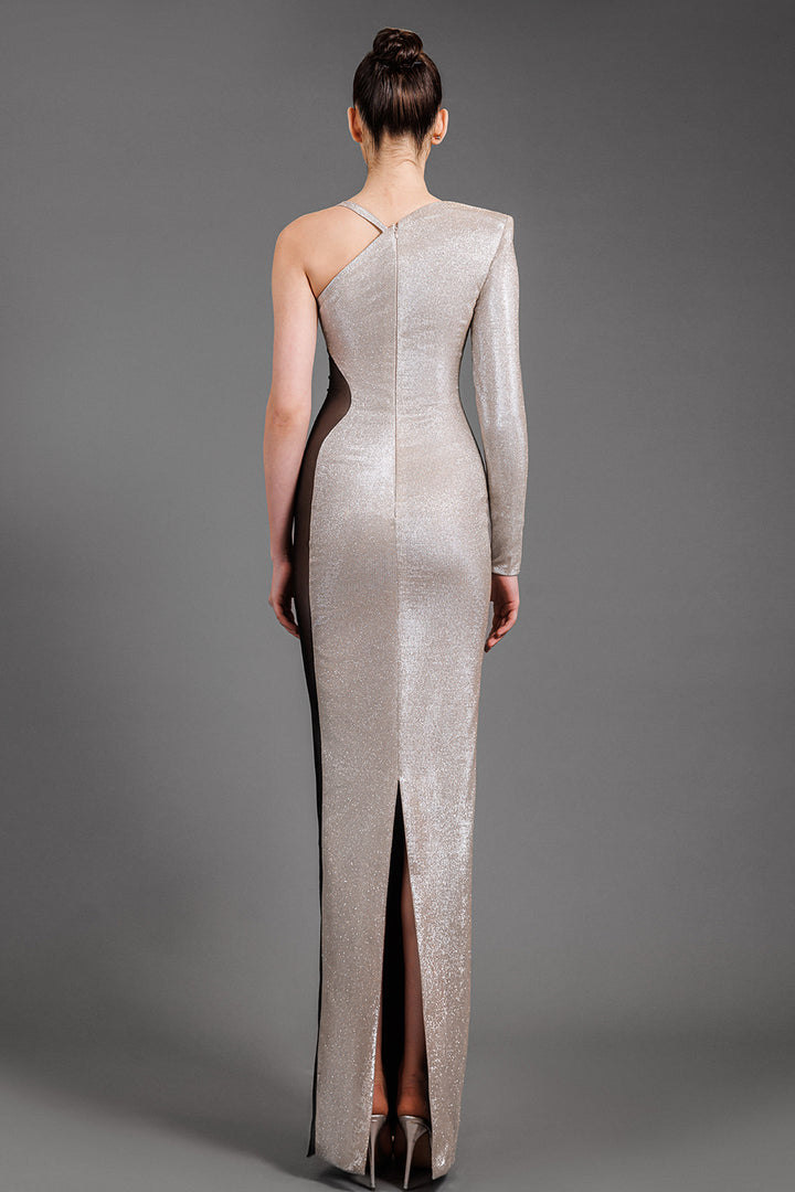 Fitted Lurex Dress with Sheer Tulle