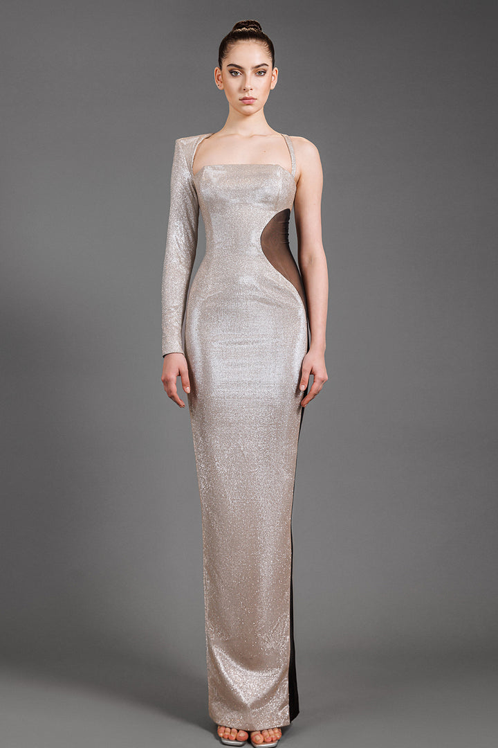 Fitted Lurex Dress with Sheer Tulle