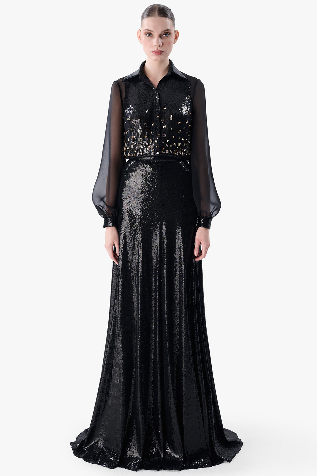 Sheer Sleeve Blouse with Sequinned Skirt