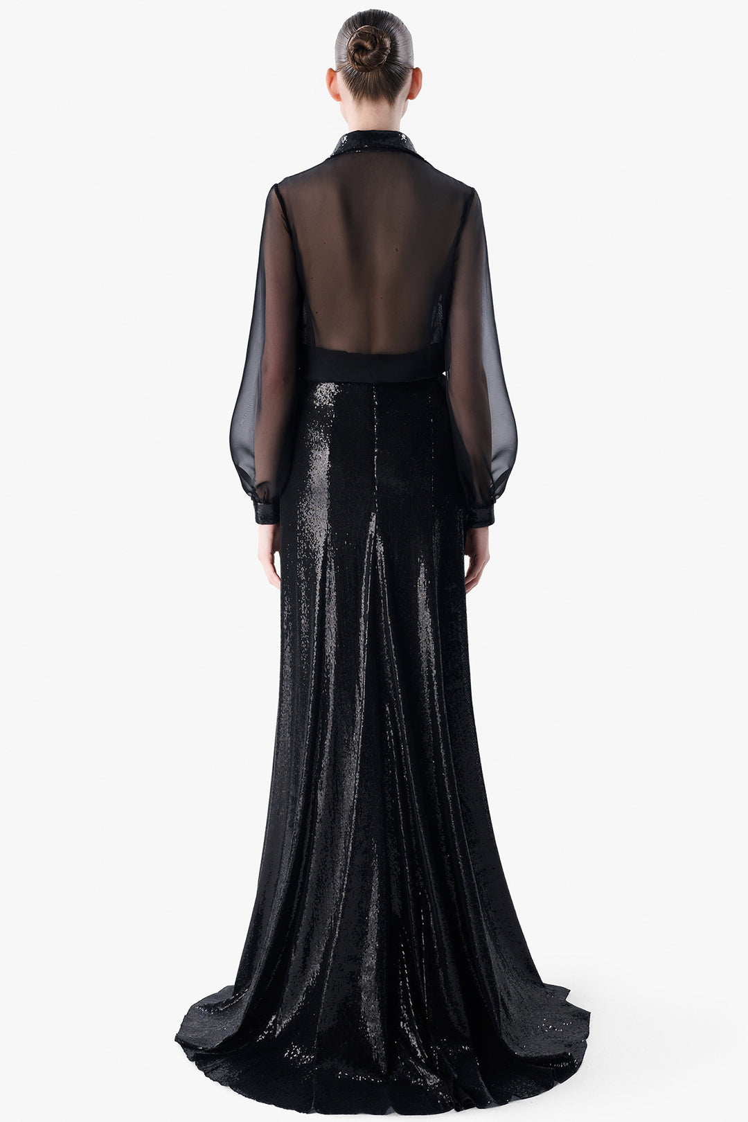 Sheer Sleeve Blouse with Sequinned Skirt