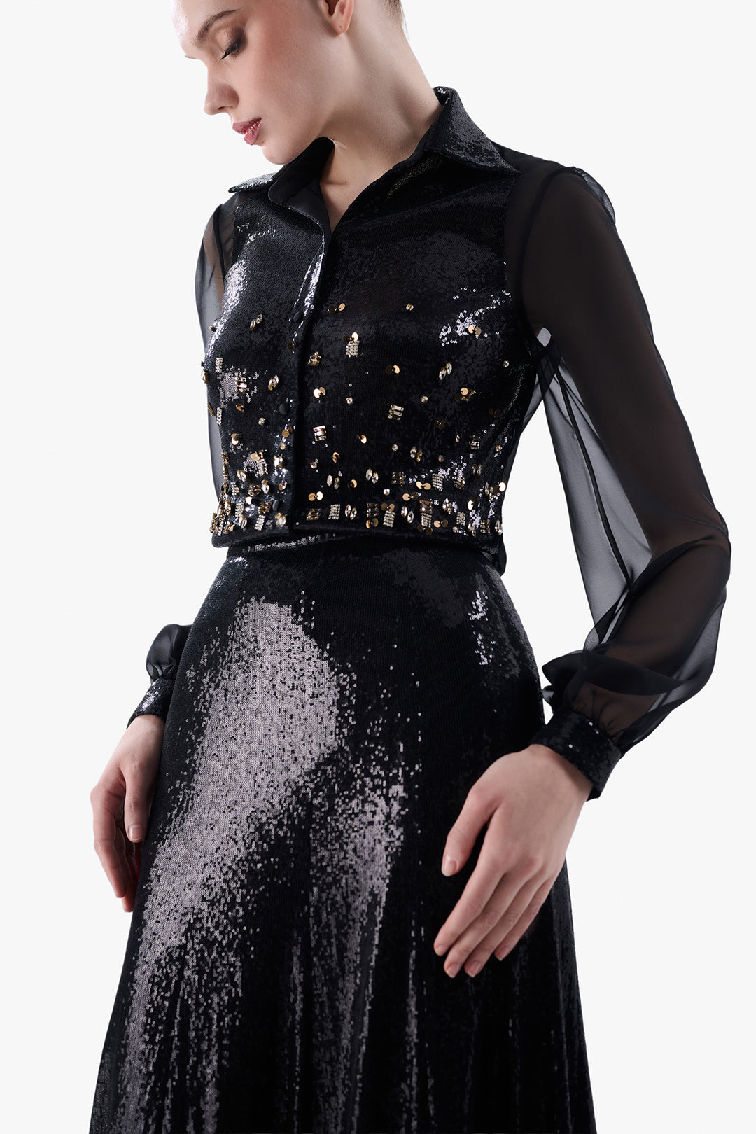 Sheer Sleeve Blouse with Sequinned Skirt