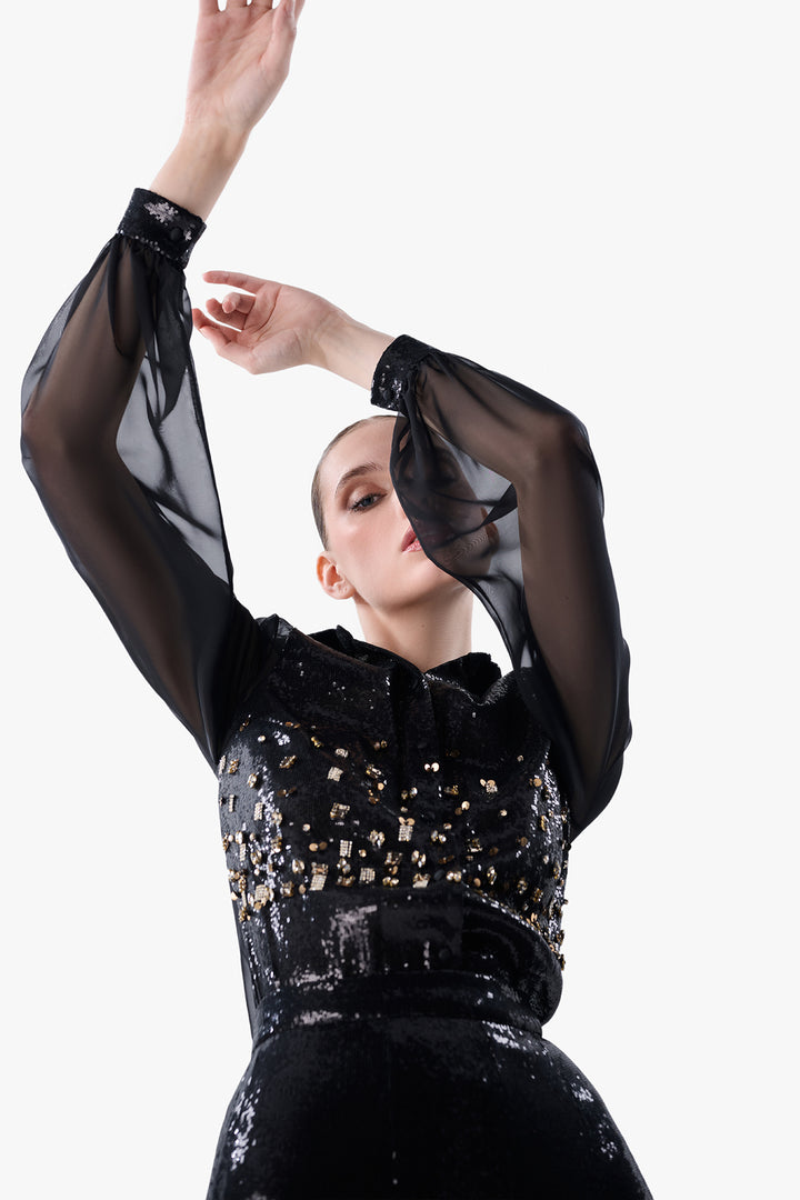 Sheer Sleeve Blouse with Sequinned Skirt
