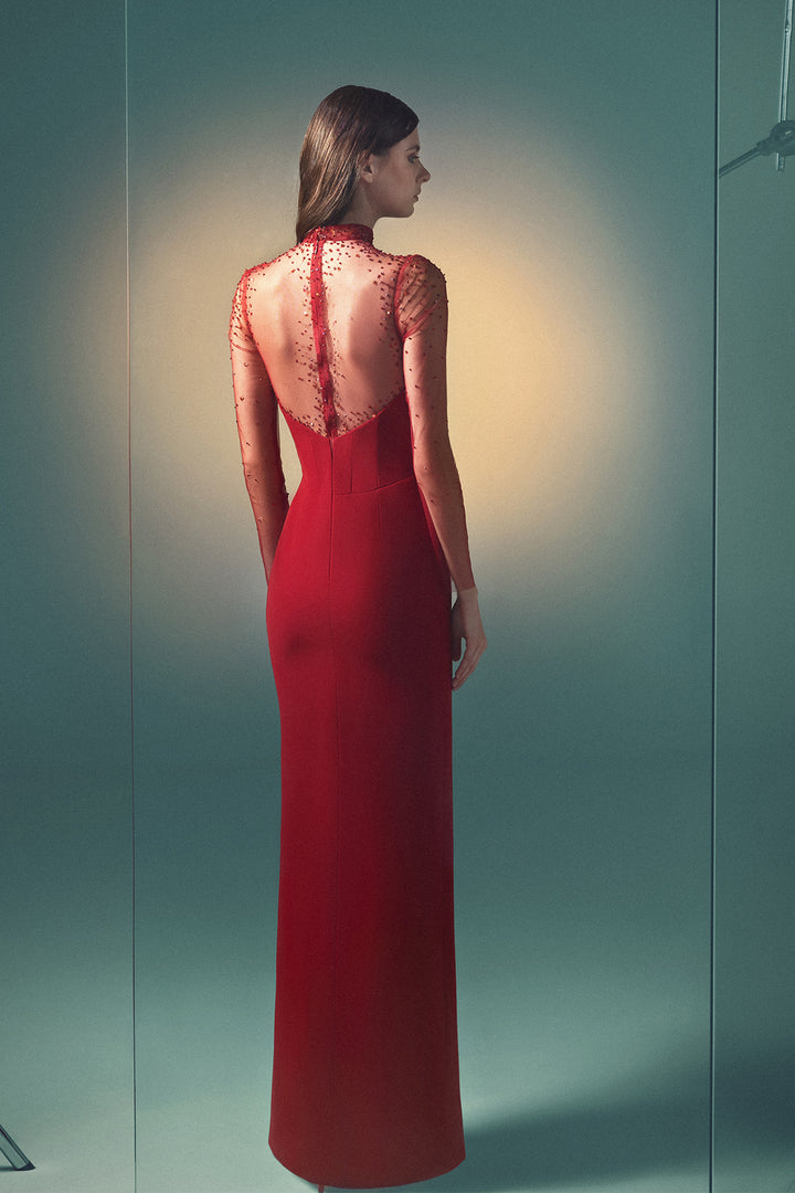 Sheer Long-Sleeved Column Dress