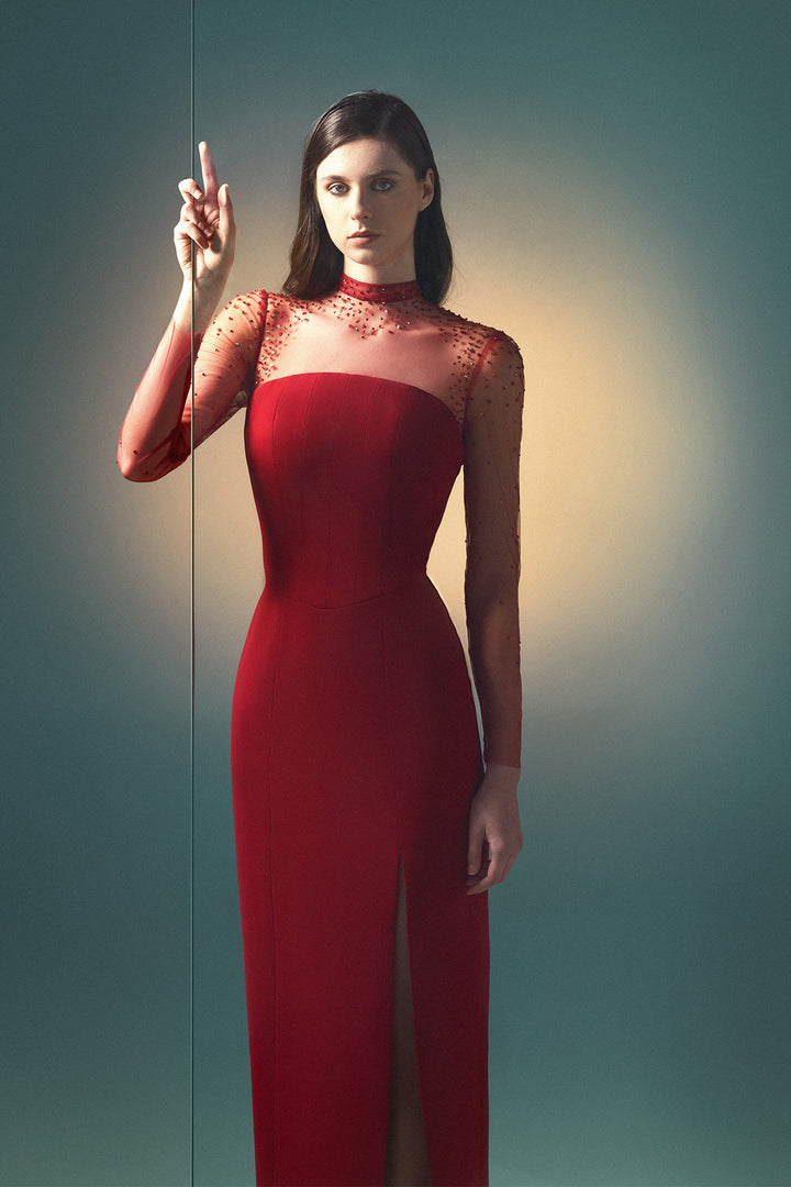 Sheer Long-Sleeved Column Dress