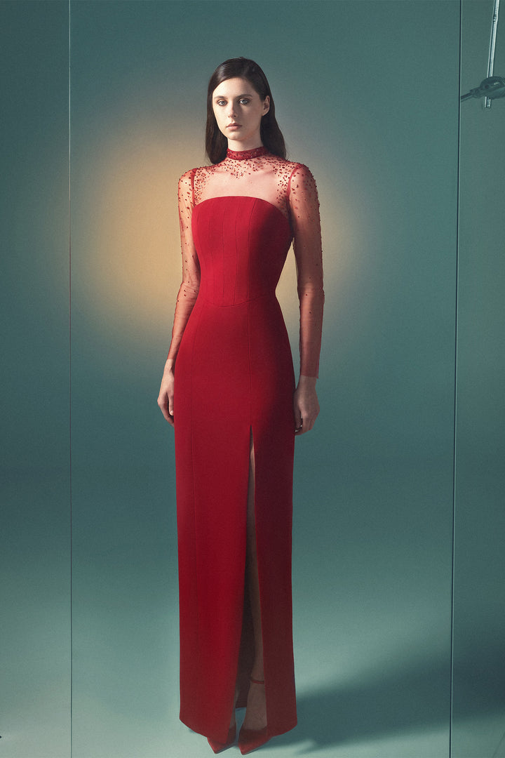 Sheer Long-Sleeved Column Dress