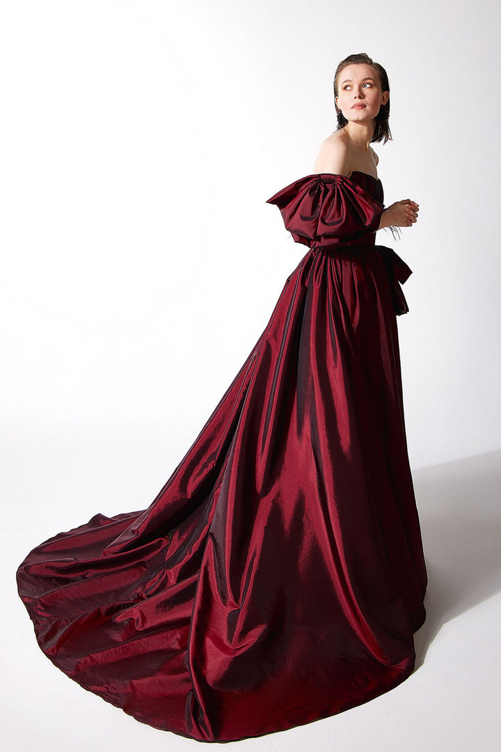 One-Shoulder Gown with Feathers