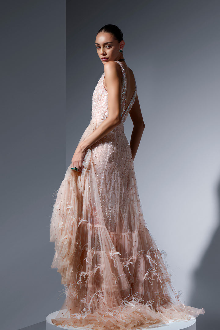 Tulle Dress with Embroidery and Feathers