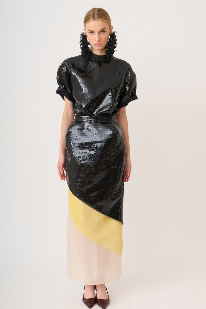 Pencil Skirt with Sequins and Organza Ensemble