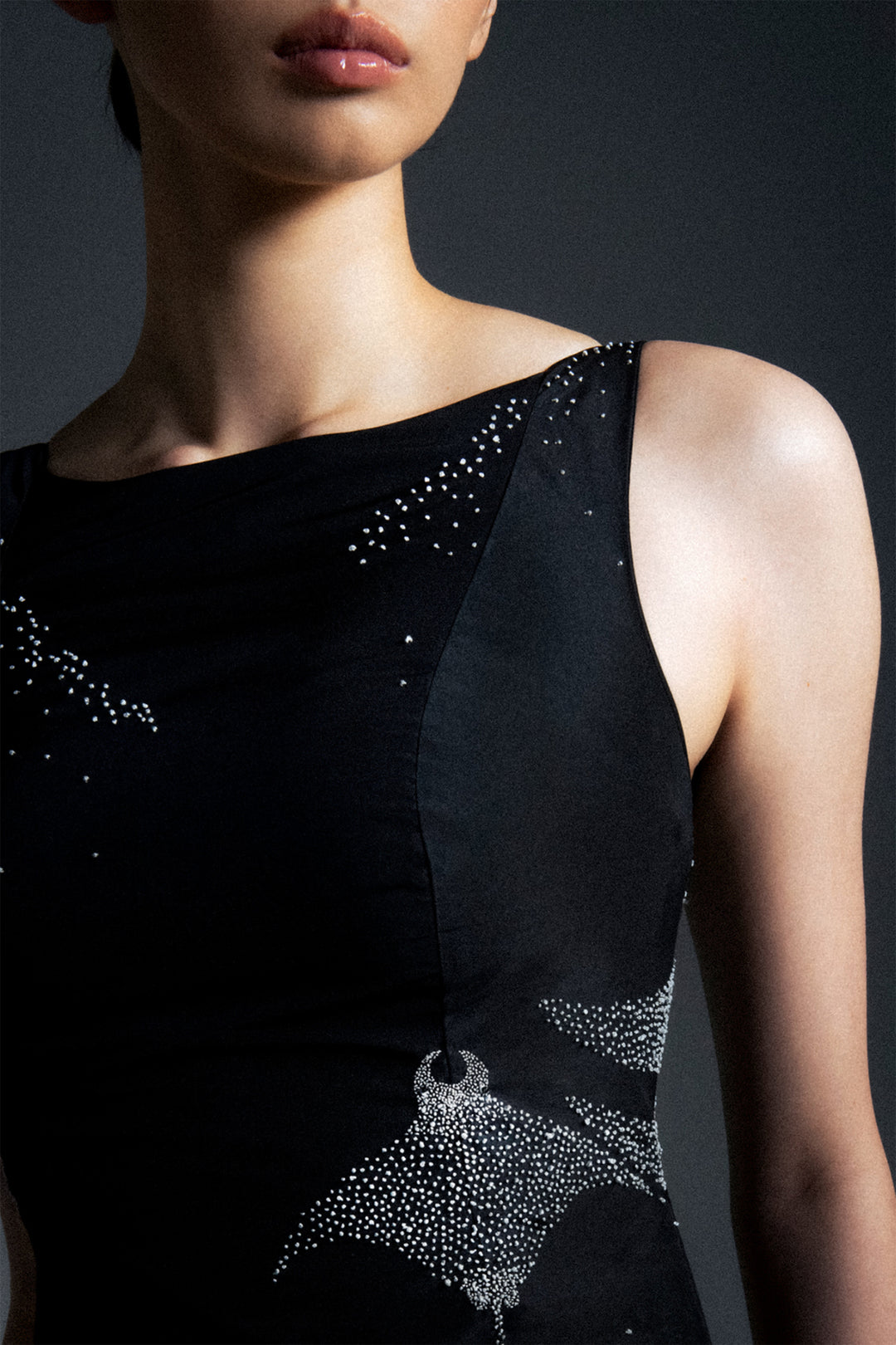 Structured Taffeta Embroidered Dress