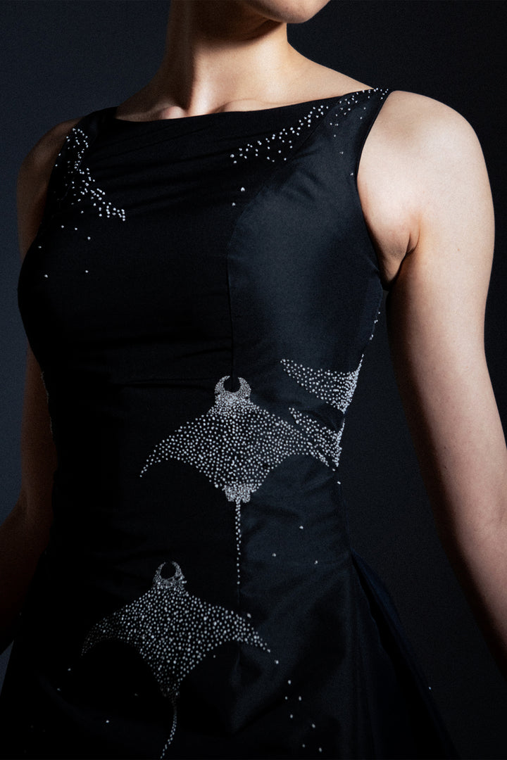 Structured Taffeta Embroidered Dress