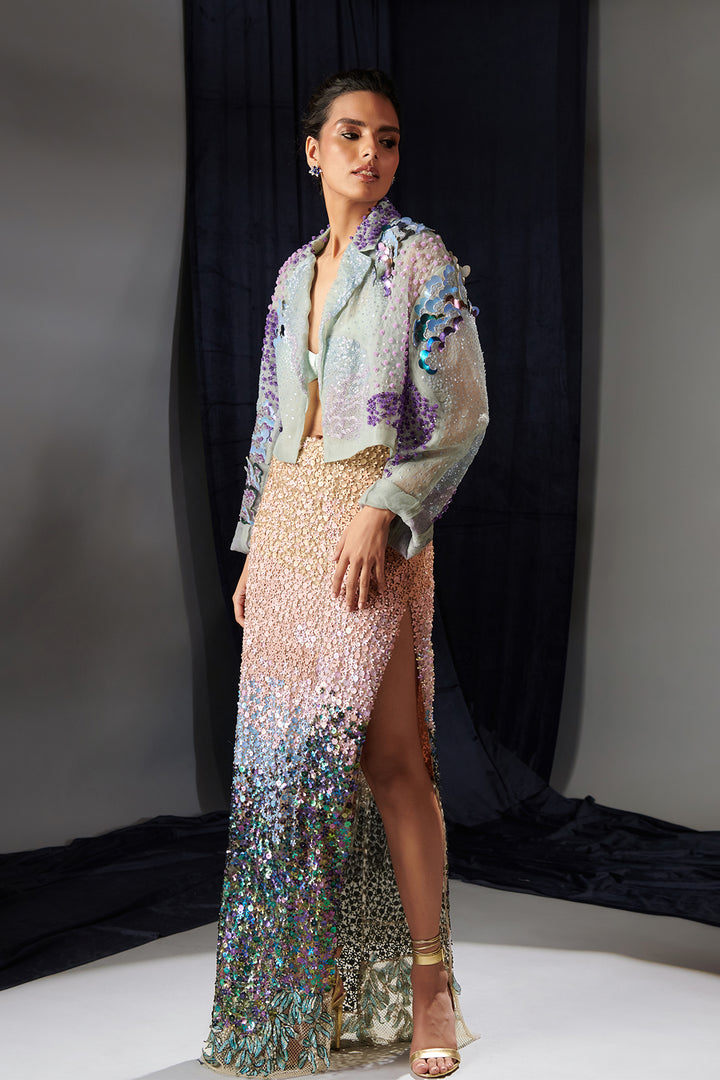 Organza Jacket and Embroidered Skirt Set