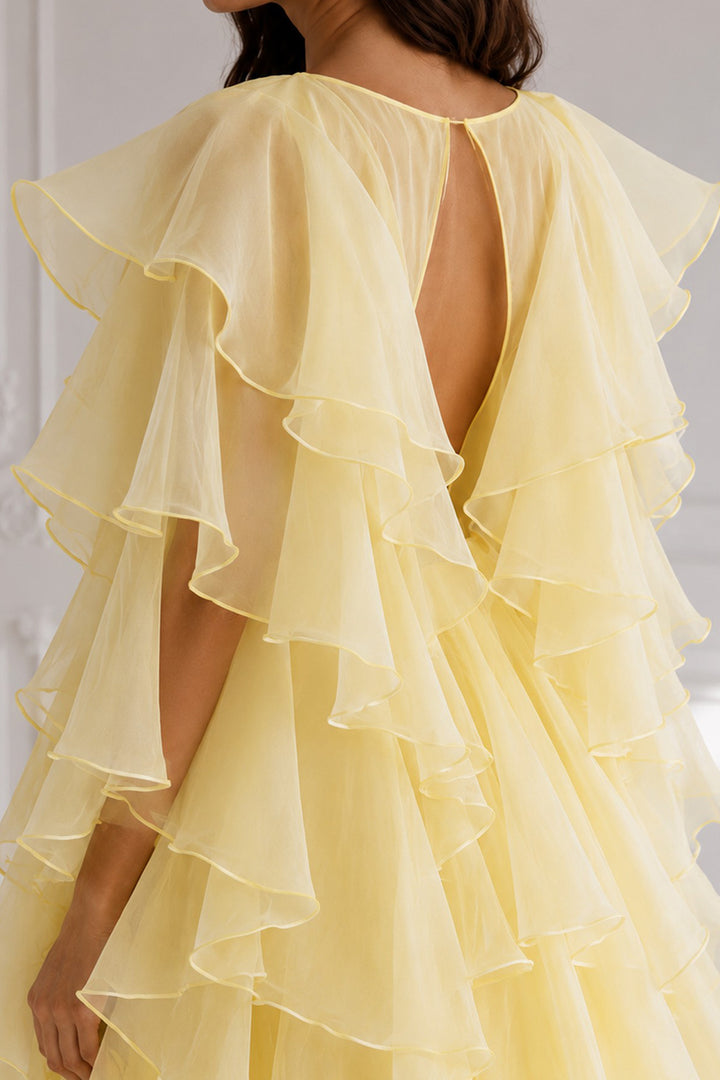 Organza Ruffle Long Dress