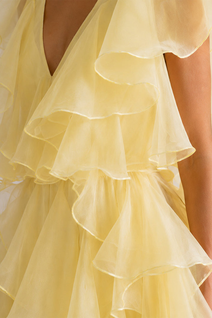 Organza Ruffle Long Dress