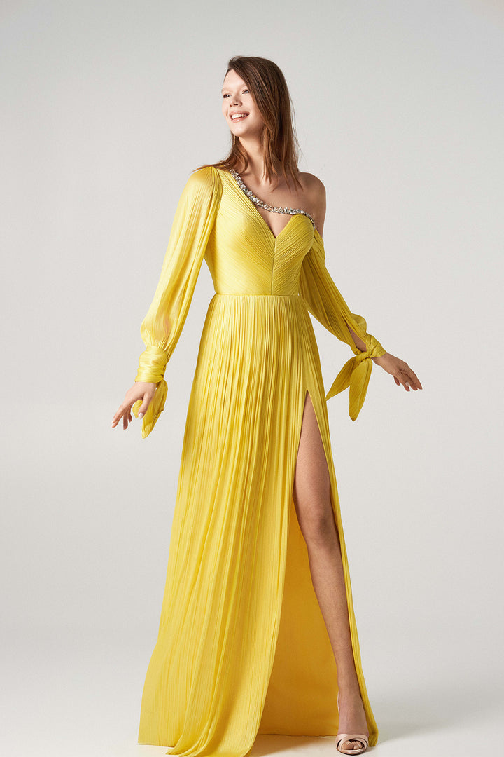 Embroidered Dress with Puffed Sleeves