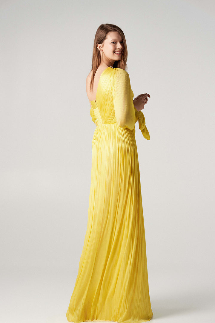 Embroidered Dress with Puffed Sleeves