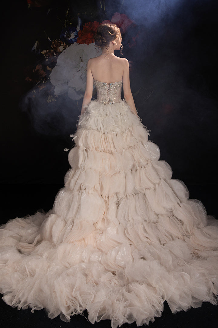 A-Line Dress with Beaded Bodice Layered Tulle