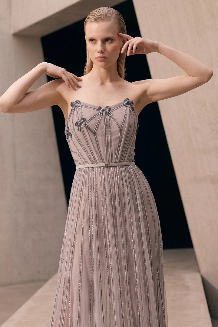 Sheer A-Line Dress with 3D Metallic Appliqués