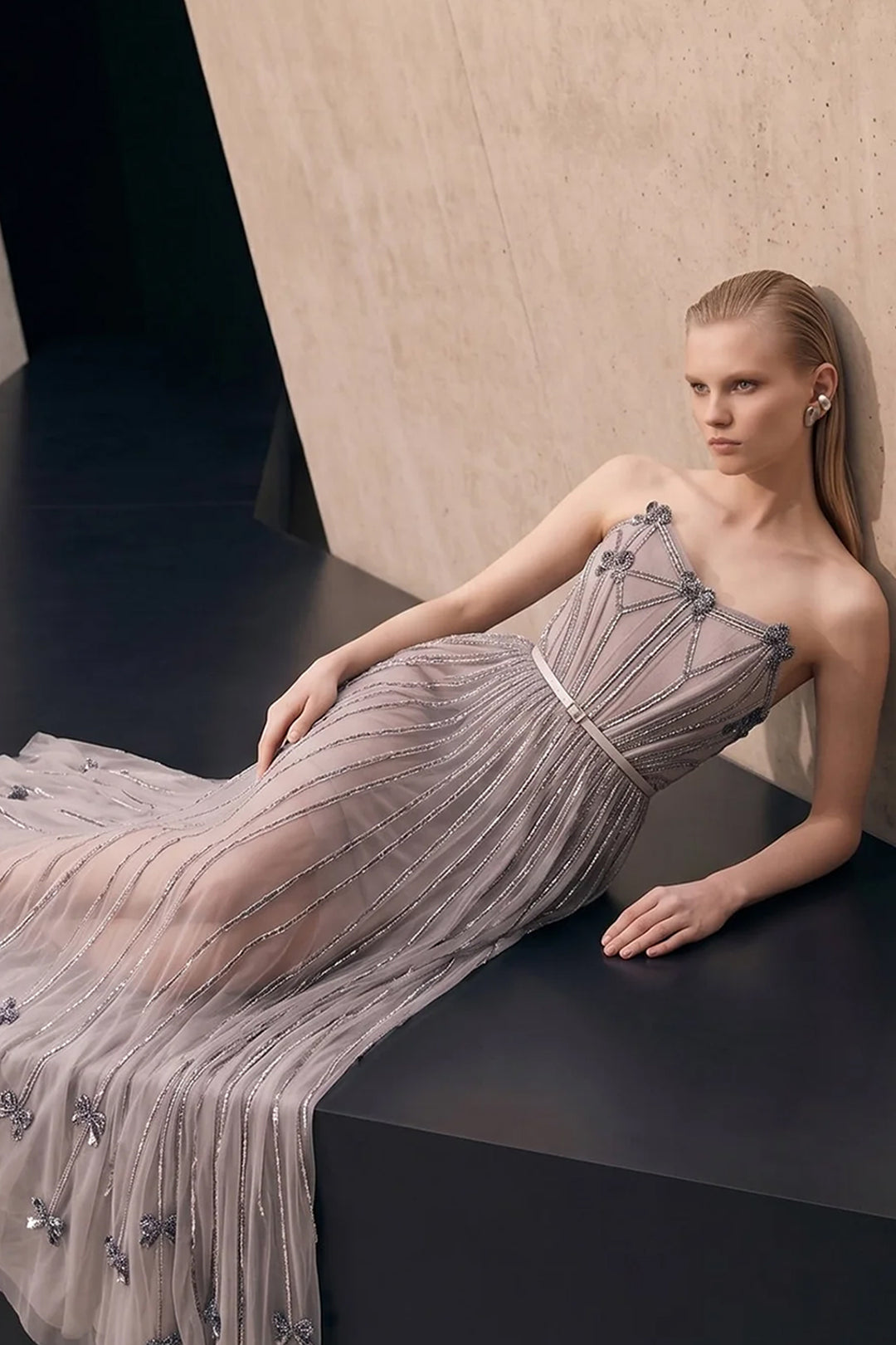 Sheer A-Line Dress with 3D Metallic Appliqués