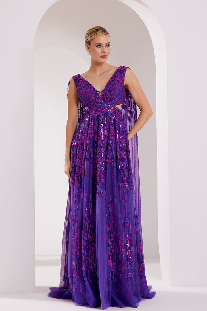 Embroidered V-Neck Tulle Dress