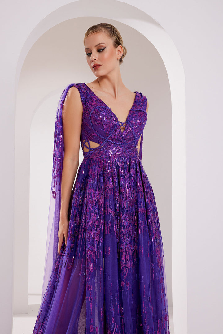 Embroidered V-Neck Tulle Dress