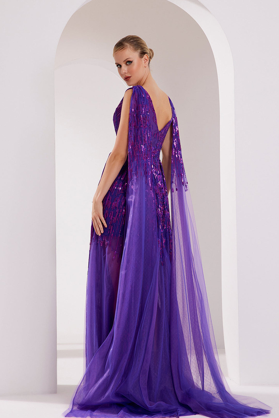 Embroidered V-Neck Tulle Dress