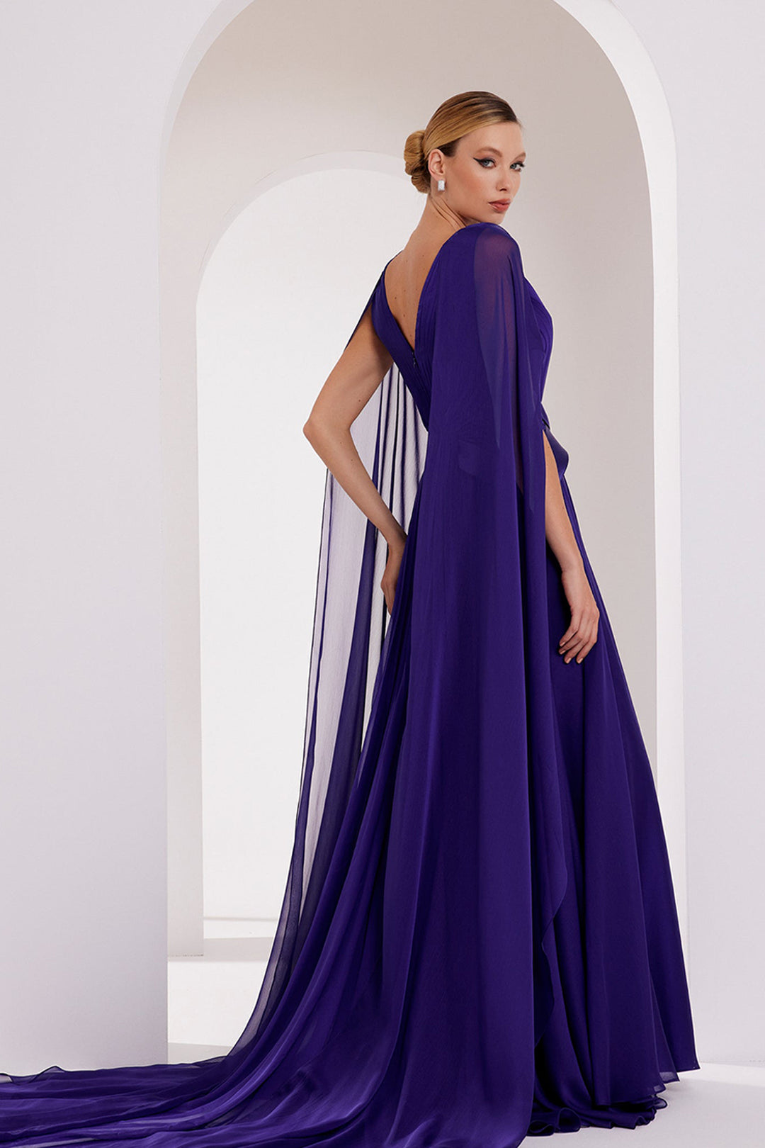 Illusion V-Neck Draped Chiffon A-Line Dress