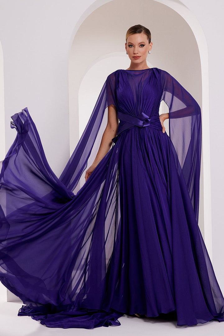Illusion V-Neck Draped Chiffon A-Line Dress