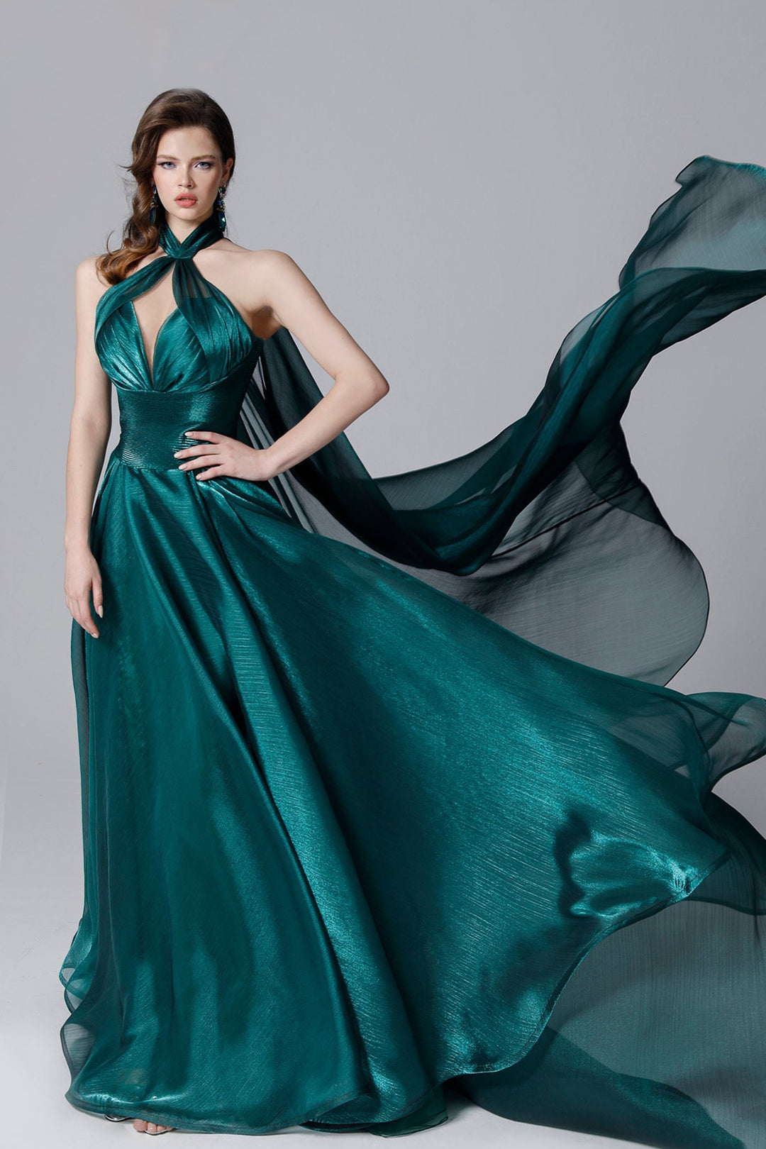 Grecian Organza-Plissé Dress