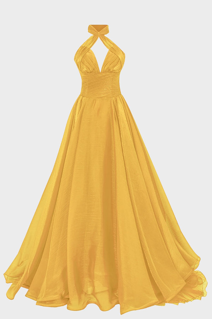 Grecian Organza-Plissé Dress